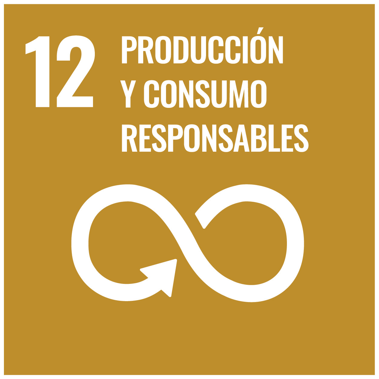 ODS 12: Producción y consumo responsables