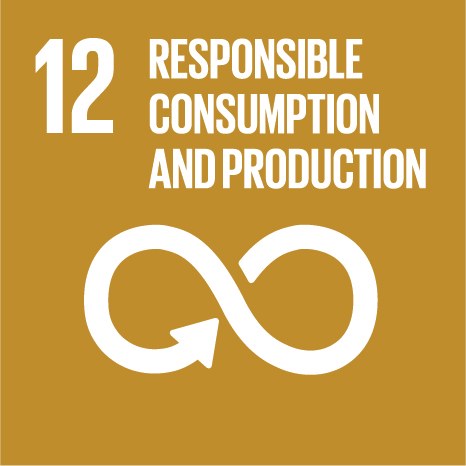 SDG 12: Responsible consumption and production